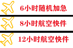 龙嘉航空运输快递公司,专业空运当天件